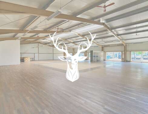 Foto - Einzelhandel in Waldshut-Tiengen 6.700,00 € 960 m²