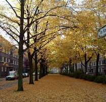 Wohnung zum Kaufen in Hannover 183.000,00 € 61.7 m² Wohnung zum Kaufen in Hannover 183.000,00 € 61.7 m²