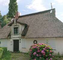 Haus zum Kaufen in Brokdorf 425.000,00 € 110 m²