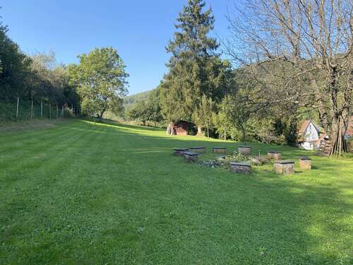 Foto - Wohnung zum Mieten in Sulzbachtal 850,00 € 100 m²