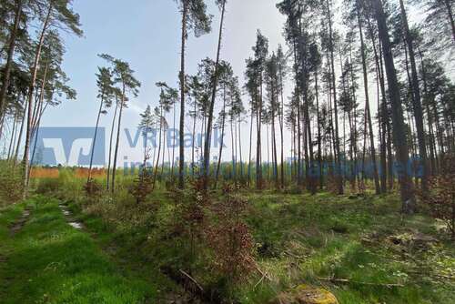 Foto - Grundstück in Feuchtwangen 69.000,00 € 30774 m²