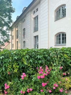 Foto - Wohnung zum Kaufen in Dresden 418.500,00 € 116 m²