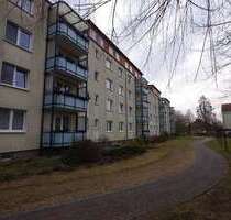 Wohnung zum Mieten in Greifswald 392,67 € 49.17 m²