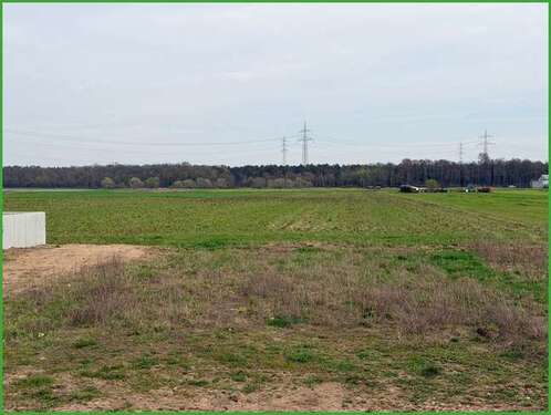 Foto - Grundstück zu verkaufen in Hambrücken 325.000,00 € 494 m²