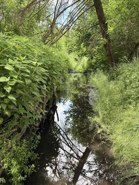Foto - Grundstück in Biesenthal 59.000,00 € 4340 m²