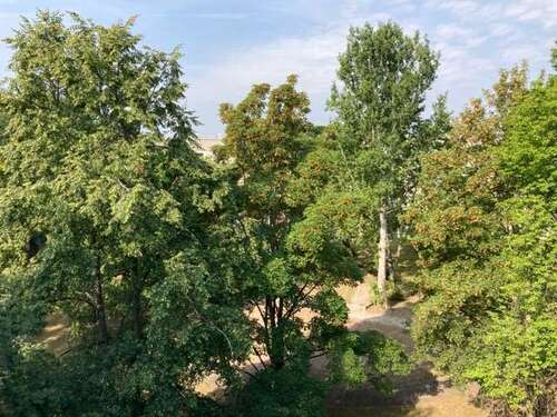 Foto - Wohnung zum Mieten in Erfurt 394,00 € 60.74 m²