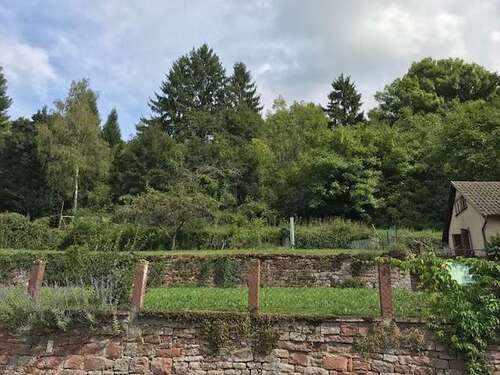 Foto - Grundstück zu verkaufen in Wertheim 99.000,00 € 979 m²