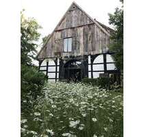 Haus zum Kaufen in Lage 459.000,00 € 183.73 m²