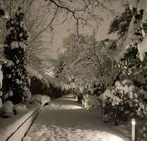 Haus zum Kaufen in Hamburg 3.980.000,00 € 260 m²