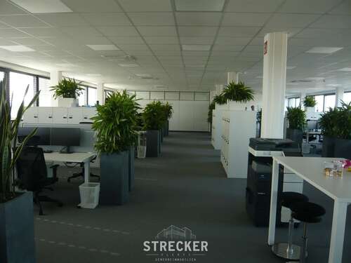 Foto - Büro in Karlsruhe 2.672,40 € 393 m²