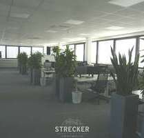 Büro in Karlsruhe 2.672,40 € 393 m²