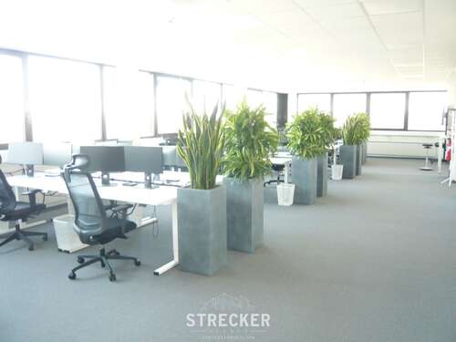 Foto - Büro in Karlsruhe 2.672,40 € 393 m²