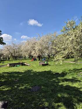 Foto - Haus zum Kaufen in Meyenburg 350.000,00 € 520 m²