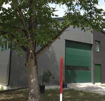 Halle in Willstatt 1.290.000,00 € 476 m²