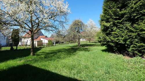 Foto - Grundstück zu verkaufen in Borchen Nordborchen 199.000,00 € 430 m²
