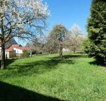 Grundstück zu verkaufen in Borchen Nordborchen 199.000,00 € 430 m² - Borchen / Nordborchen