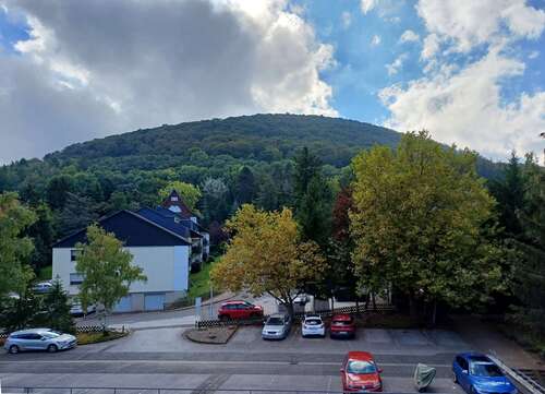 Foto - Wohnung zum Kaufen in Bad Harzburg 79.000,00 € 57 m²