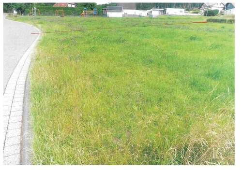 Foto - Grundstück zu verkaufen in Salm 39.000,00 € 1363 m²