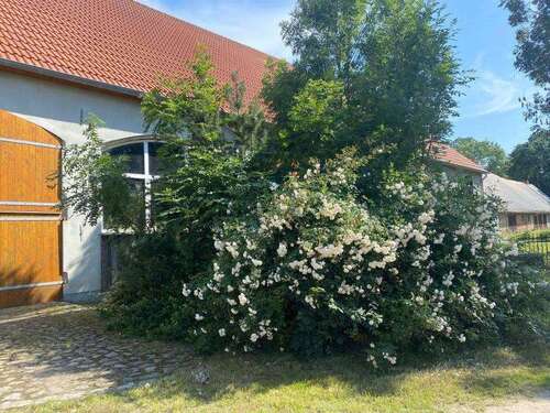 Foto - Haus zum Kaufen in Groß Polzin 150.000,00 € 200 m²