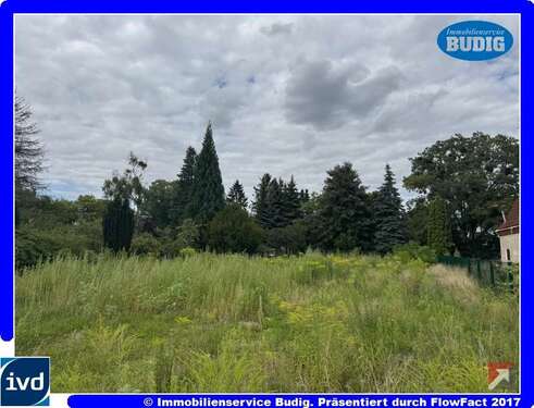 Foto - Grundstück zu verkaufen in Neuenhagen 370.000,00 € 950 m²