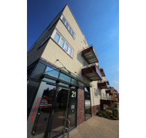 Wohnung zum Mieten in Magdeburg 420,00 € 46 m²