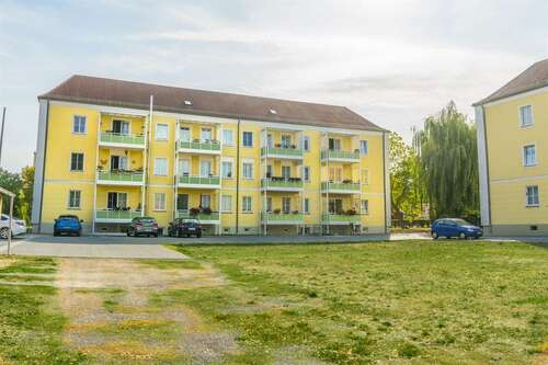 Foto - Wohnung zum Mieten in Forst (Lausitz) 420,00 € 64.54 m²