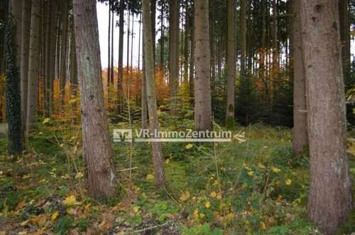 Foto - Spezialgewerbe in Kaufering 119.000,00 € 16530 m²