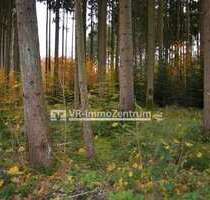 Spezialgewerbe in Kaufering 119.000,00 € 16530 m²