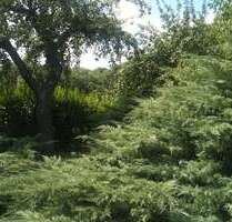 Grundstück zu verkaufen in PanketalNeu Buch 183.000,00 € 450 m² - Panketal/Neu Buch