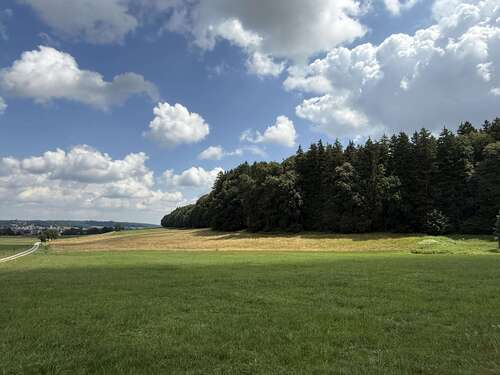 Foto - Grundstück in Tussenhausen 84.000,00 € 12910 m²