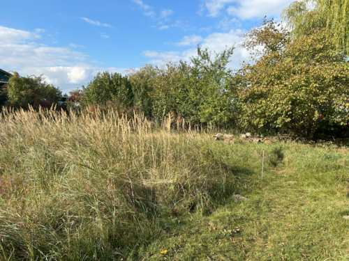 Foto - Grundstück zu verkaufen in Garstedt 199.999,00 € 977 m²