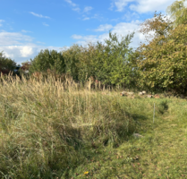 Grundstück zu verkaufen in Garstedt 199.999,00 € 977 m²
