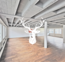 Büro in Waldshut-Tiengen 1.450,00 € 130 m²