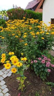 Foto - Haus zum Kaufen in Weimar 385.000,00 € 128 m²