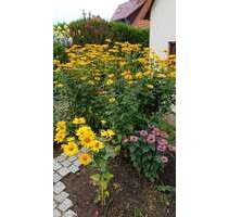 Haus zum Kaufen in Weimar 385.000,00 € 128 m²