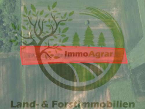 Foto - Grundstück in Uttenreuth 32.900,00 € 4120 m²