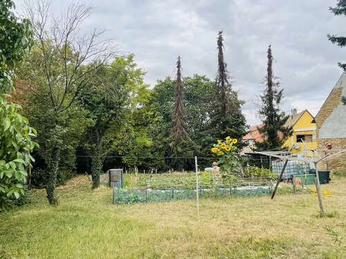 Foto - Grundstück zu verkaufen in Hillesheim 230.000,00 € 1202 m²