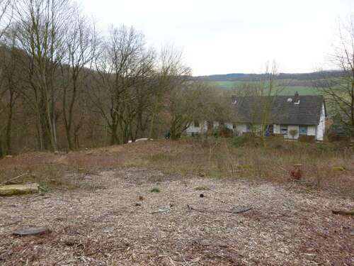 Foto - Grundstück zu verkaufen in Alfeld 97.600,00 € 2090 m²