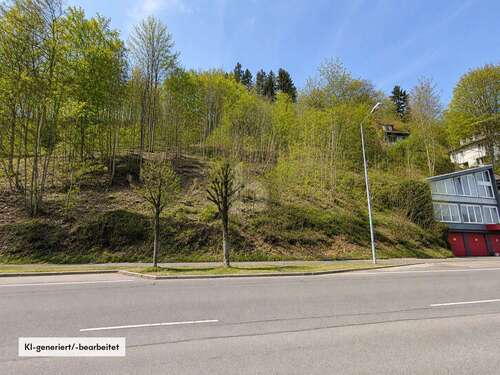 Foto - Grundstück zu verkaufen in Albstadt 99.000,00 € 2595 m²