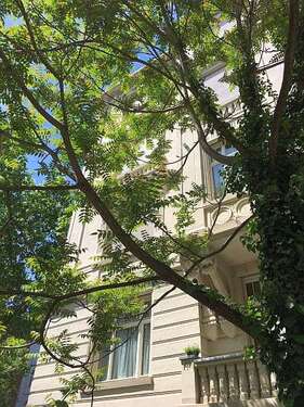 Foto - Wohnung zum Kaufen in Wiesbaden 271.000,00 € 66.9 m²