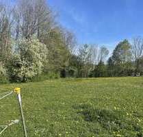 Grundstück zu verkaufen in Berg 205.000,00 € 2000 m²