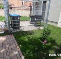 Wohnung zum Mieten in Pirna 430,00 € 54 m²