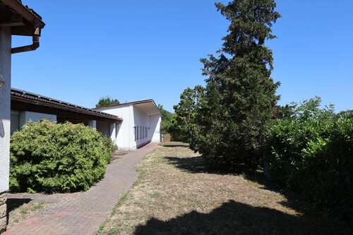Foto - Grundstück zu verkaufen in Haßloch 460.000,00 € 1246 m²