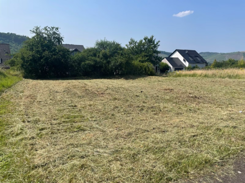 Foto - Grundstück zu verkaufen in Wiltingen 165.000,00 € 500 m²