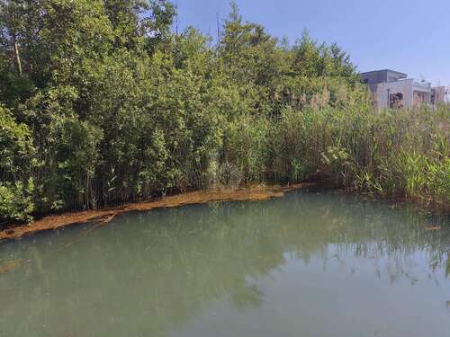 Foto - Grundstück zu verkaufen in Neukieritzsch 290.000,00 € 400 m²
