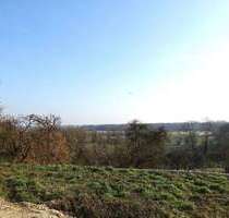 Wohnung zum Mieten in Haag 580,00 € 44 m²