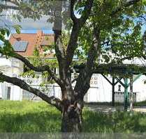 Haus zum Kaufen in Homburg 319.000,00 € 140 m²