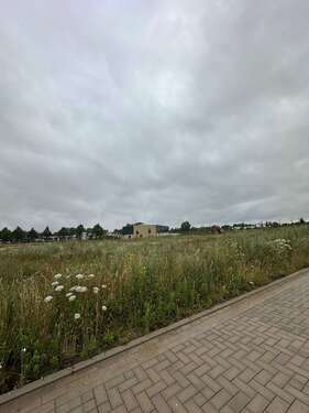 Foto - Grundstück zu verkaufen in Reinkenhagen 99.500,00 € 717 m²