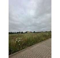 Grundstück zu verkaufen in Reinkenhagen 99.500,00 € 717 m²