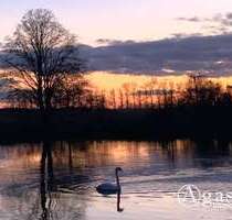 Haus zum Kaufen in Liebenwalde 140.000,00 € 26 m²